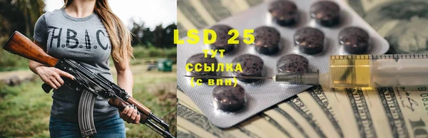 стаф Абаза