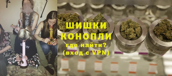 стаф Абаза