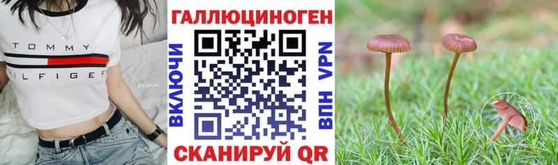 Галлюциногенные грибы Psilocybine cubensis хочу Ялуторовск